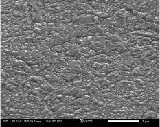 表面形状 Conventional 1.0μm