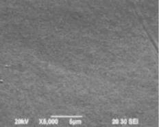 表面形状 No treatment